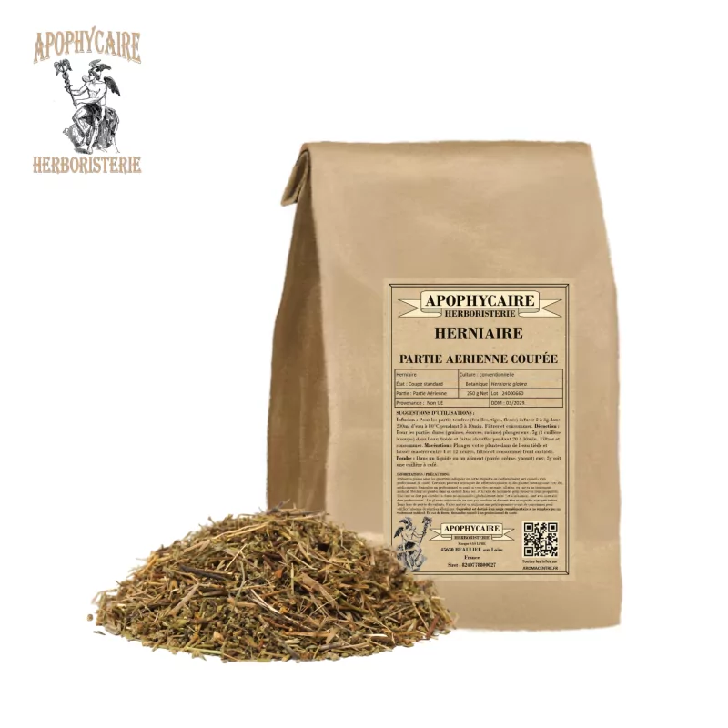 Schnitthernie (Herniaria glabra) - Apophycaire