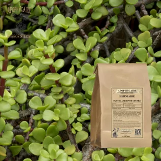 tisane Herniaire (Herniaria glabra) - Apophycaire