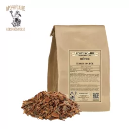 Beech cut bark – Fagus sylvatica | Apophycaire