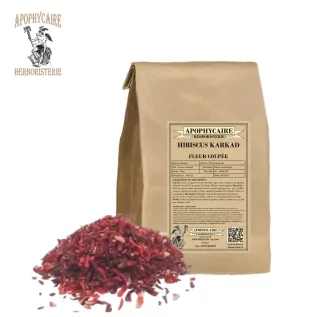 Hibiscus (Karkadé) cut flower – Hibiscus sabdariffa | Apothecary