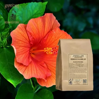 Hibiscus (Karkadé) flower powder – Hibiscus sabdariffa | Apothecary