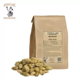 Cut hop cone – Humulus lupulus | Apophycaire