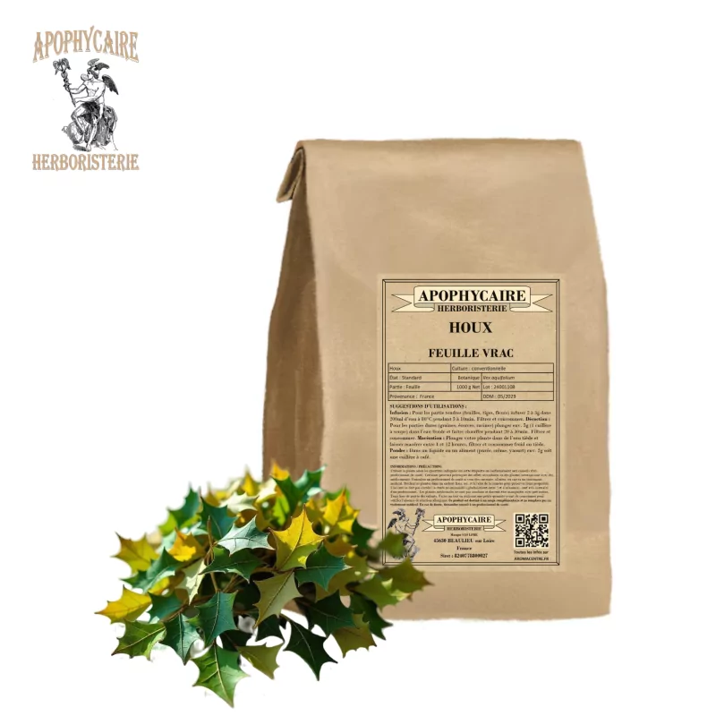 Loose-leaf holly (Ilex aquifolium) - Apophycaire Loose-leaf holly (Ilex aquifolium) - Apophycaire