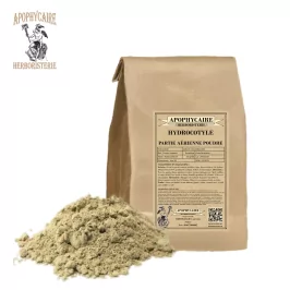 Hydrocotyle powder – Centella asiatica | Apophycaire