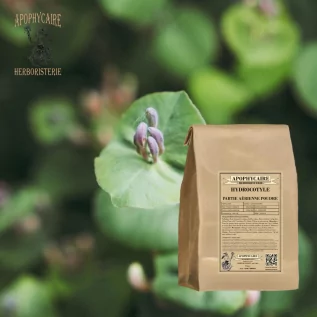 infusion Hydrocotyle Centella asiatica - Apophycaire