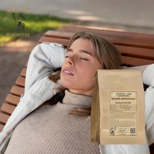 Hysope feuille utilisée pour favoriser le confort respiratoire et la vitalité saisonnière - Apophycaire