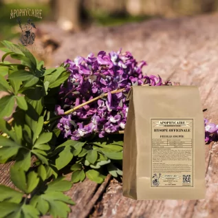 tisane Hysope feuille (Hyssopus officinalis) - Apophycaire