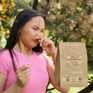 Ysopblüte lose – Hyssopus officinalis | Apophycarius