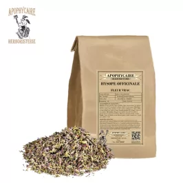 Hyssop flower loose – Hyssopus officinalis | Apophycaire