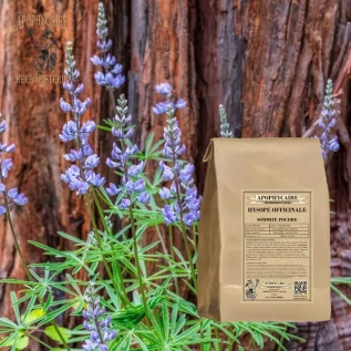 infusion Hysope sommité (Hyssopus officinalis) - Apophycaire