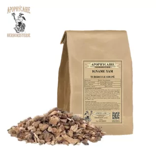 Tubérculo cortado de ñame (ñame) – Dioscorea villosa | Apophycarius