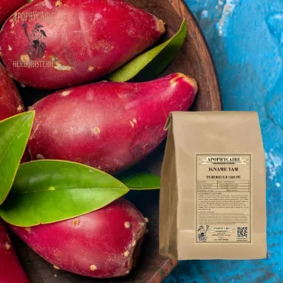 Yam (Yam) kesilmiş yumru – Dioscorea villosa | Apophycarius