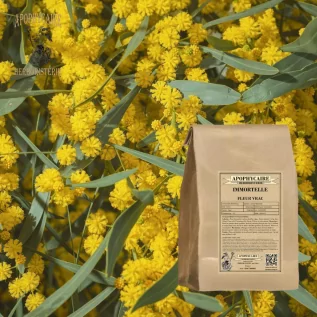 tisane Immortelle fleur - Apophycaire