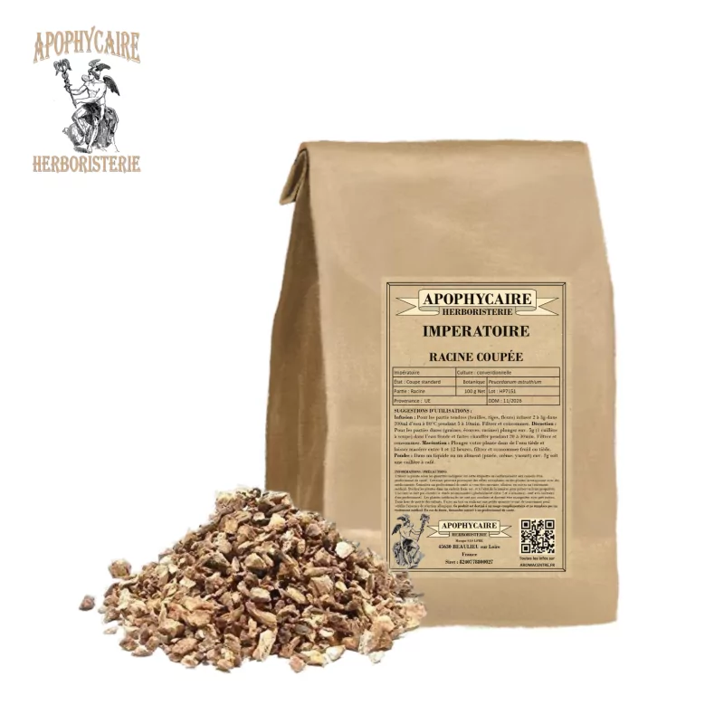 Cut root masterwort (Peucedanum ostruthium) - Apophycaire Cut root masterwort (Peucedanum ostruthium) - Apophycaire