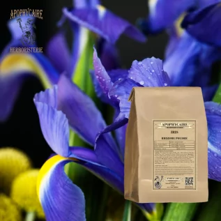 Cosmétique Iris rhizome poudre (Iris florentina) - Apophycaire