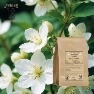 Flor de jazmín a granel – Jasminum officinale | Apophycarius