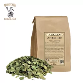 Hoja cortada de azufaifo (Sidr) – Ziziphus ziziphus | Apophycarius