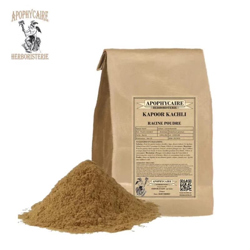 Kapoor Kachli root powder (Hedychium spicatum) - Apophycaire Kapoor Kachli root powder (Hedychium spicatum) - Apophycaire