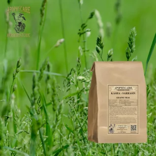 Kasha-Samen in Großpackung – Fagopyrum esculentum | Apophycarius