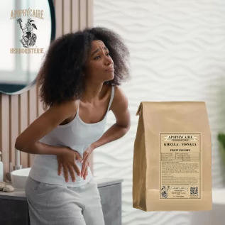 Khella-Fruchtpulver – Ammi visnaga | Apophycaire