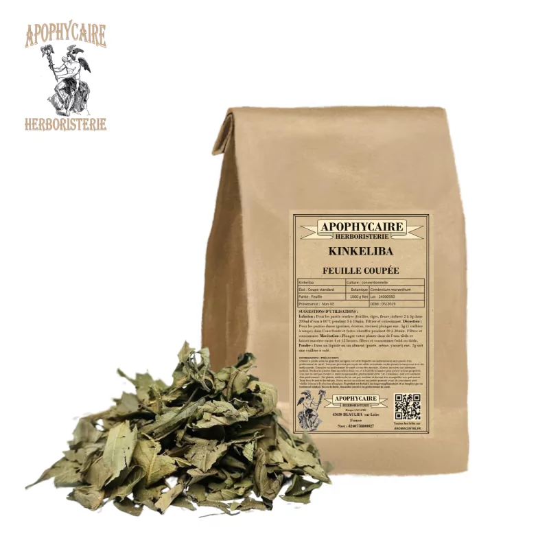 Kinkéliba-Schnittblatt (Combretum micranthum) – Apophycaire Kinkéliba-Schnittblatt (Combretum micranthum) – Apophycaire