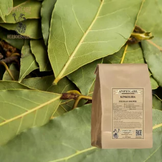 Hoja cortada de Kinkeliba – Combretum micranthum | Apophycarius