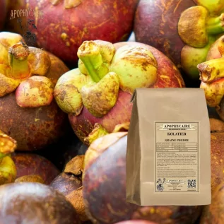 infusion Noix de Kola poudre - Apophycaire