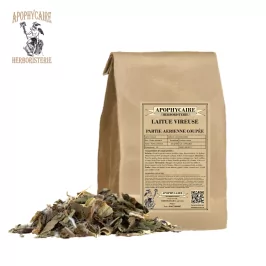 Geschnittener Wilder Lattich (Lactuca virosa) - Apophycaire