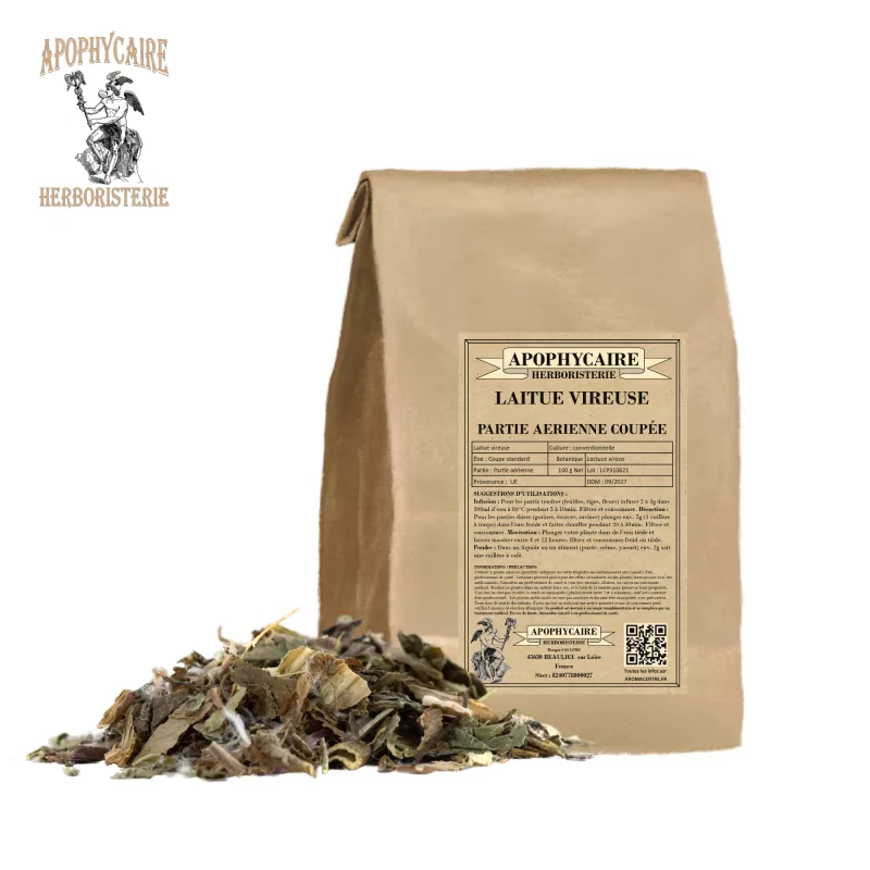 Lechuga silvestre cortada (Lactuca virosa) - Apophycaire