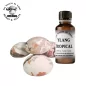 Ylang Tropical, scented oil for Pebble clay scent ChamotteLes Galets de Loire