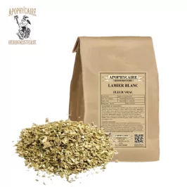 White dead-nettle flower – Lamium album | Apophycaire