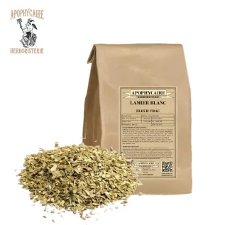 White dead-nettle flower – Lamium album | Apophycaire