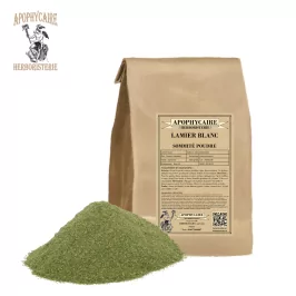 Powdery white dead-nettle – Lamium album | Apophycaire