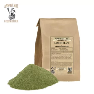 Powdery white dead-nettle – Lamium album | Apophycaire