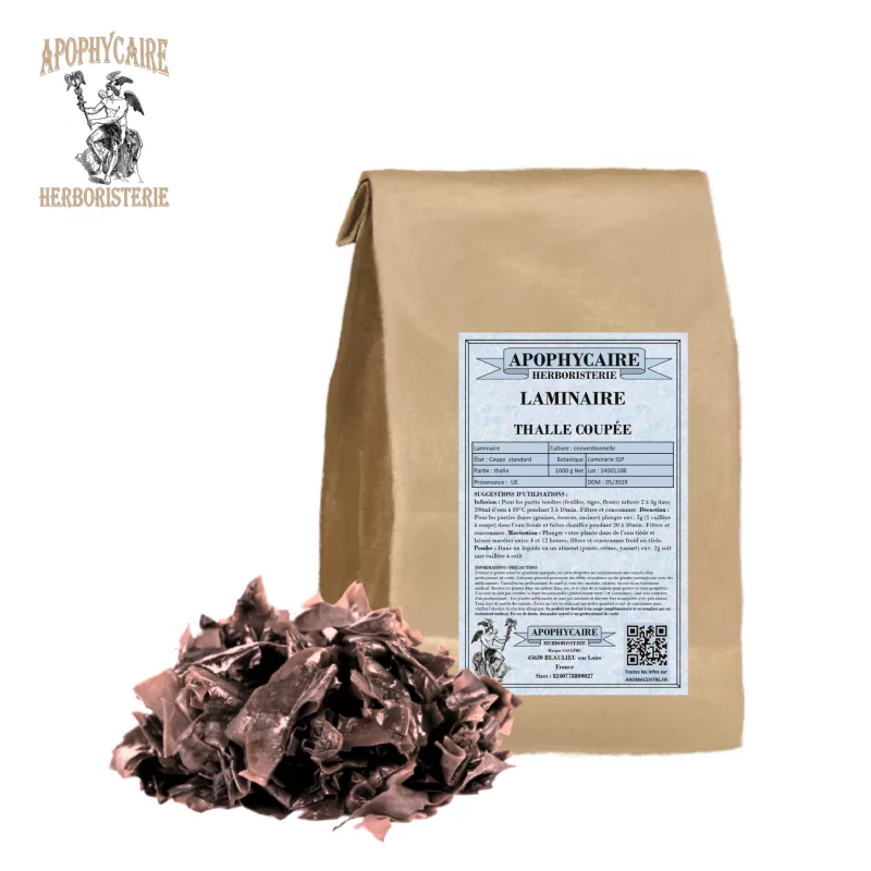 Cut thallus kelp (Laminaria ssp) - Apophycaire