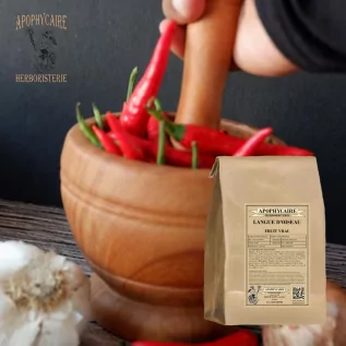 Vogelzunge (Chili) – Capsicum frutescens | Apophycarius