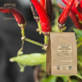 Gevşek Kuş Dili (Capsicum frutescens) - Apophycaire