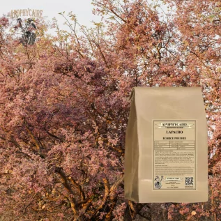 infusion Lapacho écorce poudre - Apophycaire