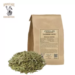 Lorbeerblattsauce – Laurus nobilis | Apophycarius