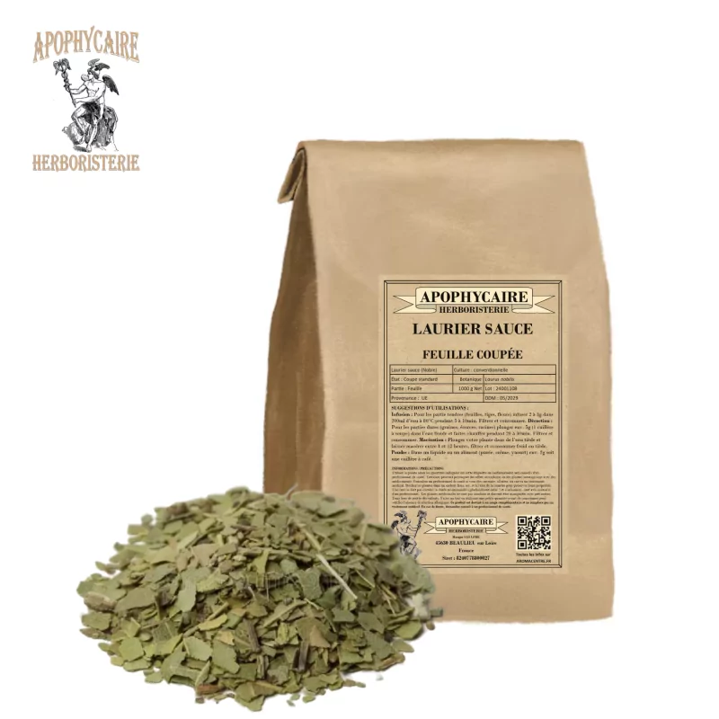 Bay leaf cut (Laurus nobilis) - Apophycaire Bay leaf cut (Laurus nobilis) - Apophycaire