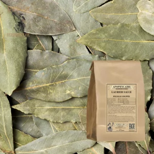 Lorbeerblattsauce – Laurus nobilis | Apophycarius