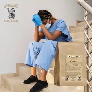 Lavande fleur vrac (Lavandula vera) - Apophycaire