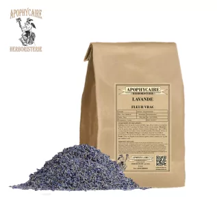 Lavanta çiçeği toplu satış – Lavandula vera | Apophycarius