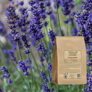 Polvo de lavandín – Lavandula x intermedia | Apophycarius