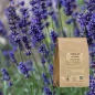 Lavandin flower powder (Lavandula hybrid) - Apophycaire Lavandin flower powder (Lavandula hybrid) - Apophycaire