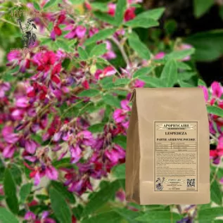 Lespedeza poudre – Lespedeza capitata | Apophycaire