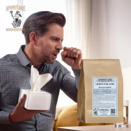 Iceland moss cut thallus (Cetraria islandica) - Apophycaire