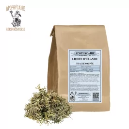 İzlanda Likeni – İzlanda Cetraria | Apophycaire