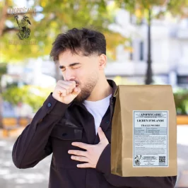 Iceland moss powder thallus (Cetraria islandica) - Apophycaire