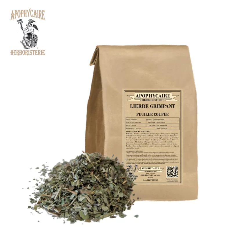 Hiedra de hoja cortada (Hedera helix) - Apophycaire